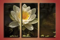 Lekno biele - KV 0108