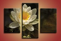 Lekno biele - KV 0108