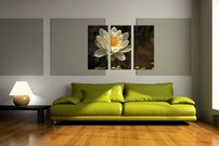 Lekno biele - KV 0108