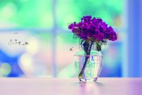 Tapeta Kvietok - KV 0111