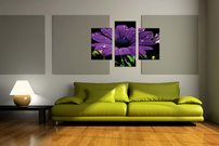 obraz na stenu fialovy kvet KV 3