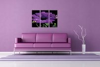 obraz na stenu fialovy kvet KV 4