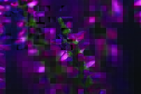 Tapeta Ružová kvetina - KV 0129