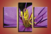 obraz na stenu purpurovy kvet KV 2