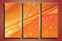 obraz na stenu lupene KV 2