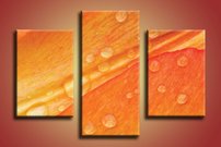 obraz na stenu lupene KV 3