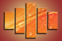 obraz na stenu lupene KV 4