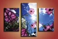 Fialové kvety - KV 0150