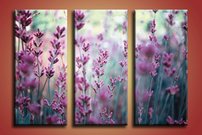 Fialové kvietky - KV 0168