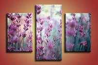 Fialové kvietky - KV 0168