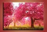 Ružové stromy - KV 0171