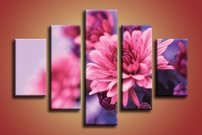 Ružový kvet - KV 0174