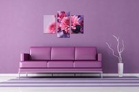 Ružový kvet - KV 0174