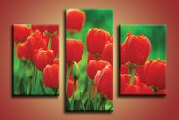 obraz na stenu tulipany KV 2