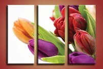 obraz na stenu tulipany KV 2