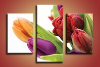 obraz na stenu tulipany KV 3