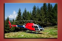 Vrtuľník - LD 0029