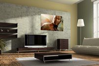 Bruce Willis - LO 0010