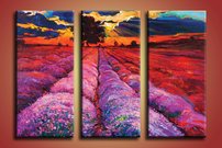 Levanduľové pole - MA 0023