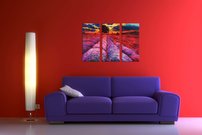 Levanduľové pole - MA 0023