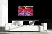 Levanduľové pole - MA 0023