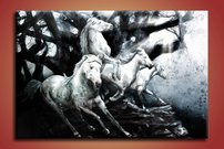 obraz na stenu biele kone 1