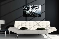 obraz na stenu biele kone 4