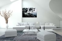 obraz na stenu biele kone 3