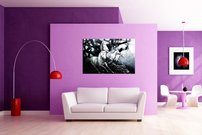 obraz na stenu biele kone 2