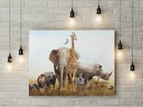 obraz na stenu safari 11