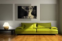 Škraboška - MS 0010