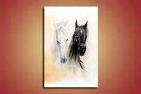 obraz na stenu konske hlavy 1