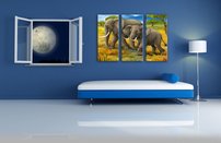 obraz na stenu slony 2