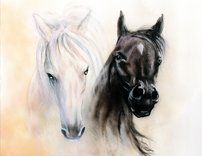 obraz na stenu konske hlavy 2