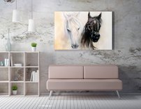 obraz na stenu konske hlavy 5