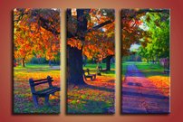 obraz na stenu jesen v parku 1