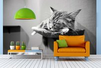 Tapeta Mačka - ZR 0121