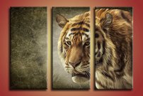 obraz na stenu bengalsky tiger 4