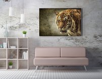obraz na stenu bengalsky tiger 9