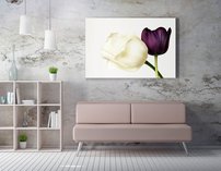 obraz na stenu kvety dva tulipány 1 dielne