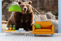 Tapeta ZR 0003 - Medveď