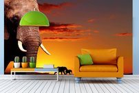 Tapeta ZR 0009 - Afrika