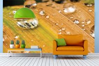 Tapeta Kvapka rosy - OD 0085