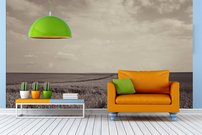 Tapeta Pole - PK 0143