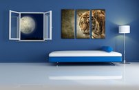 obraz na stenu bengalsky tiger 5