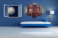 obraz na stenu steniatka 6