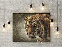 obraz na stenu bengalsky tiger 8