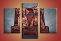 obraz na stenu steniatka 4