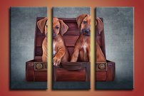 obraz na stenu steniatka 1