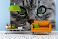 Tapeta Mačka - ZR 0091